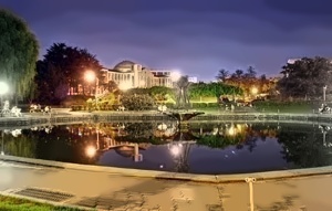庆北大学