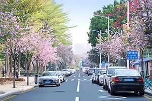广东实验中学AP国际课程校园