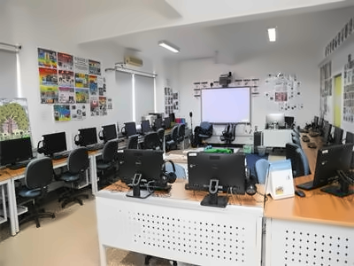 泰达国际学校
