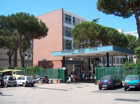 那不勒斯费德里克二世大学