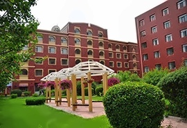 莱姆顿学院“4+0”留学专业招生简章