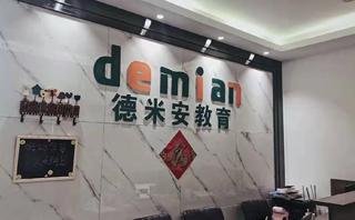 西安德米安教育