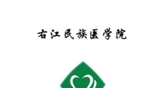 右江民族医学院排名全国第几名(2017-2020排名)
