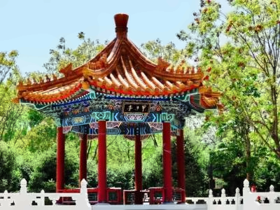 对外经济贸易大学剑桥国际学校国际高中课程