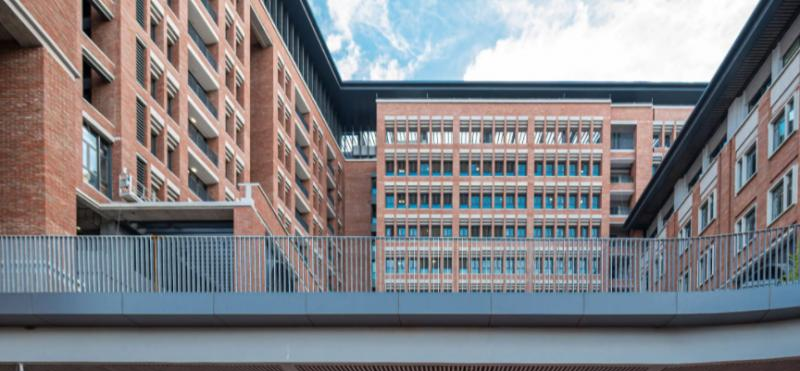 深圳石岩公学学校国际部初中2023年入学条件