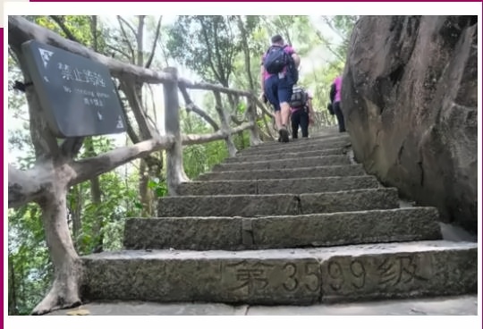 广州斐特思公学