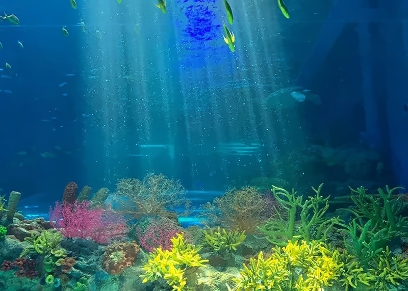 神奇海洋公园.jpg