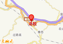 总校