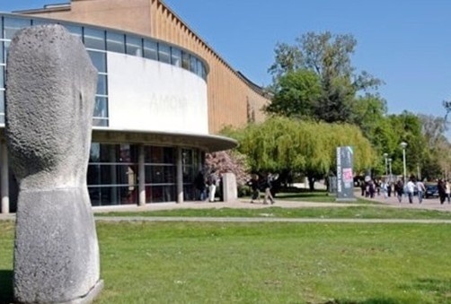 梅斯大学