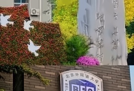 国际本科传媒艺术学分豁免课程