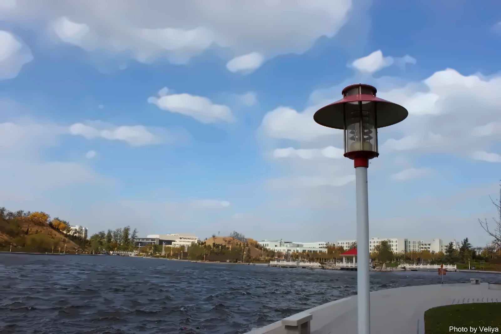 山东理工大学——学校中的公园