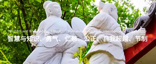 图片11.png