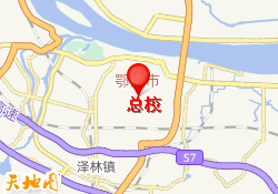 总校