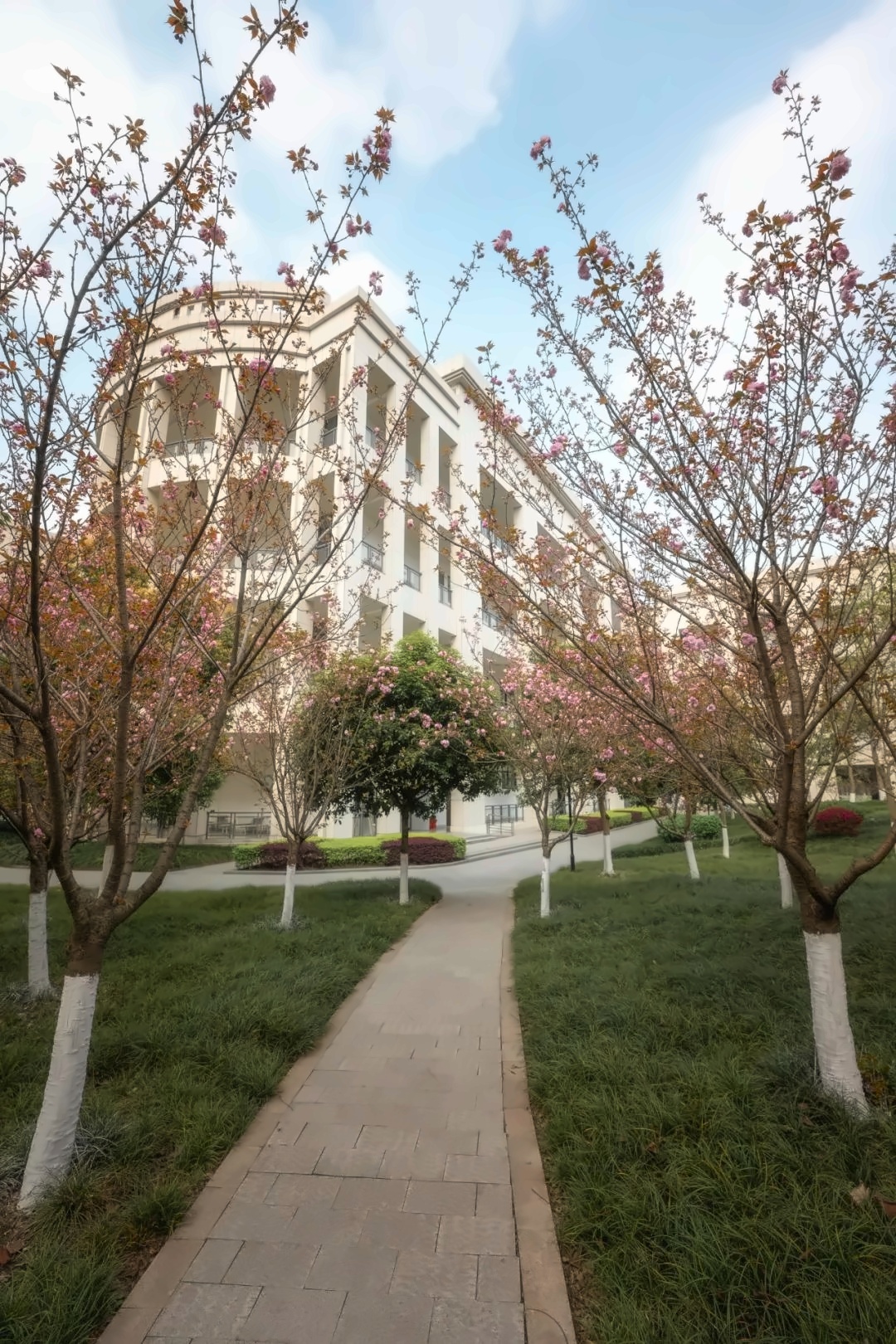 电子科技大学