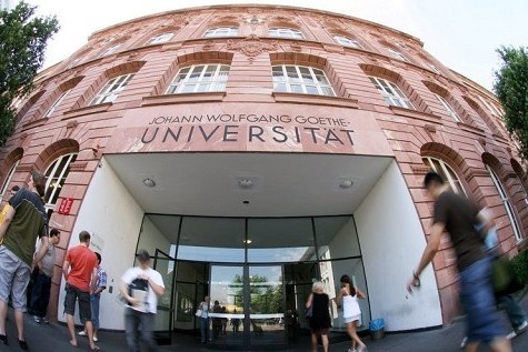 法兰克福大学