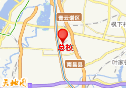 总校