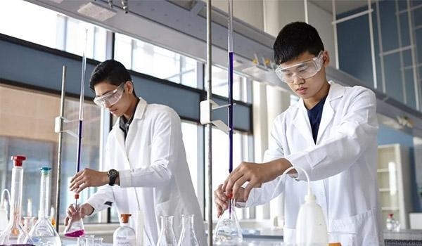 义乌卡迪夫公学