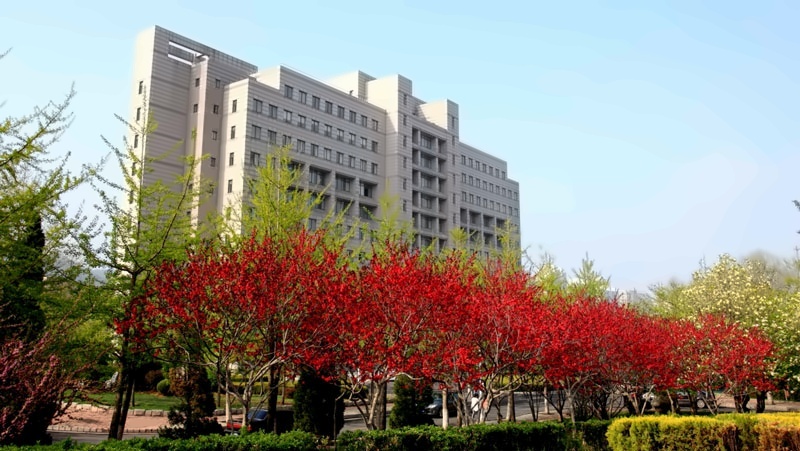 东北财经大学
