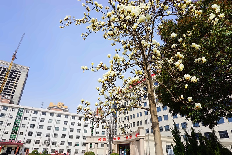 西安外国语大学