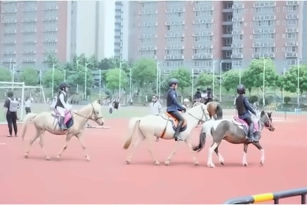马术.jpg