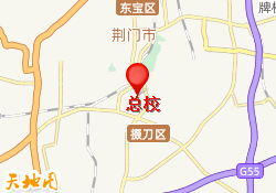 总校