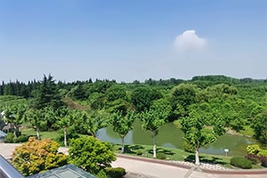 上海朝阳义塾外景