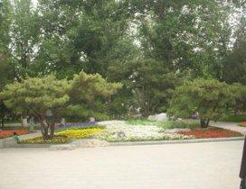 北京五色园艺术设计培训 