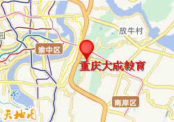 重庆大成教育