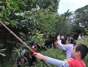 参观革命历程
