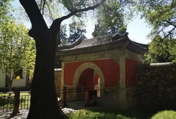 北京开放大学国际课程中心社会实践活动13.jpg