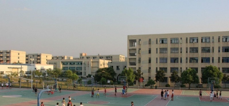 合肥共达职业技术学院单招报名条件