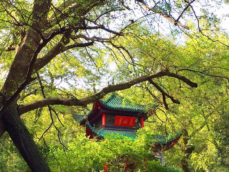 湖南大学