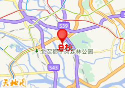 总校