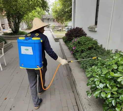 苏州阿德科特学校绿化