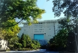 香港名校2+2国际本科项目招生简章