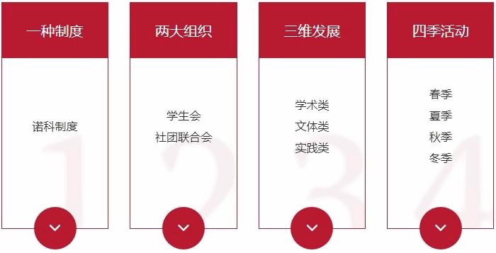 上海诺科学校学生活动