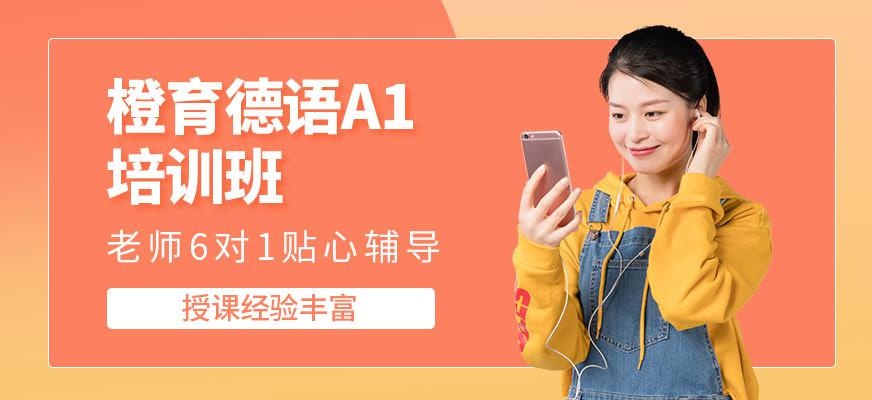 德语A1直通车直播快速班