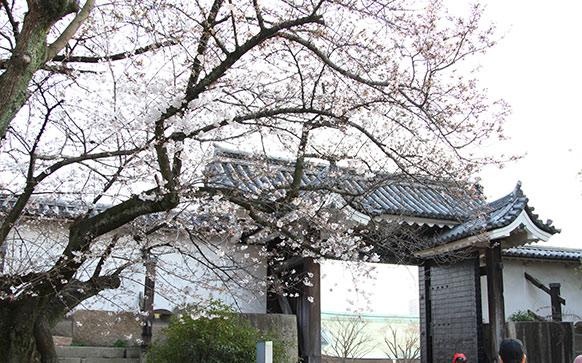 日语N4-N1直达课程