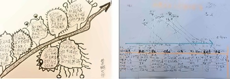 新冠病毒.jpg
