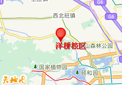 洋桥校区