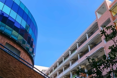 深大师院国际高中