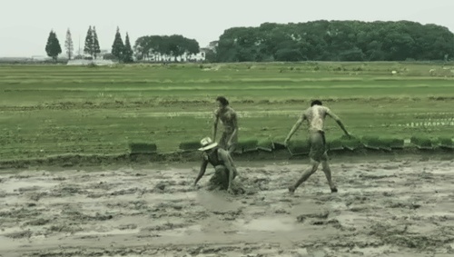 美华学校农场