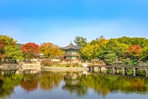 西北大学韩国本科留学直通班招生简章