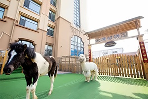 美国(青岛)伍斯特学校动物园