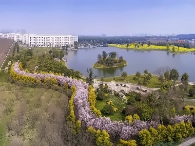 电子科技大学OSSD国际课程OSSD 1/1.5年制