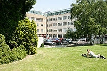 贝德福特大学