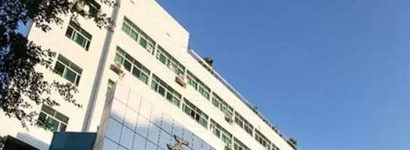 深圳石岩公学学校国际部初中网站