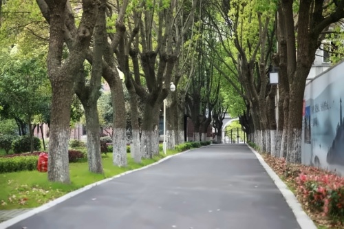 蘇州阿德科特學(xué)校3.jpg