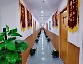 重庆考课力教育