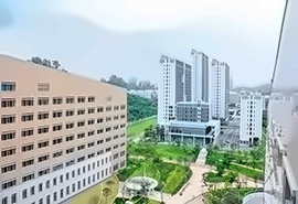 全球知名大学提升预科项⽬